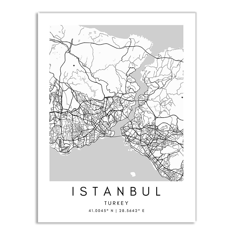 Affiche plan de Istanbul (Turquie) en noir et blanc