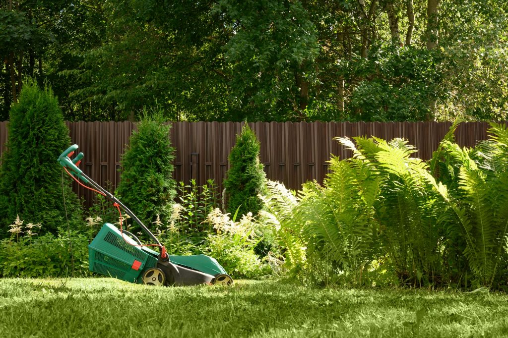 Hand lawnmower during regular mowing of a lawn at summer.